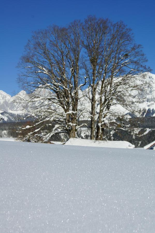 Aparthotel Dachsteinblick Schladming Zewnętrze zdjęcie